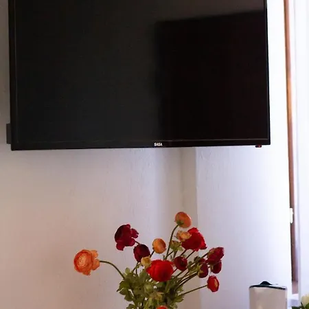 L'alberata Dei Sogni Bed & Breakfast Frosinone