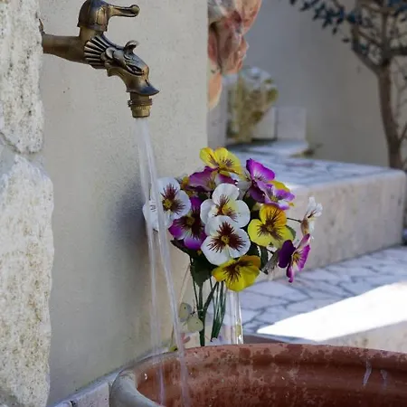 Bed & Breakfast L'alberata Dei Sogni 4*